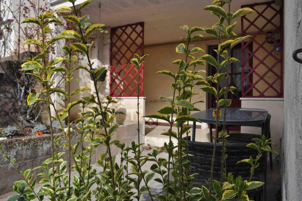 Spacieux- Le Clos Lingon Mâcon Dış mekan fotoğraf